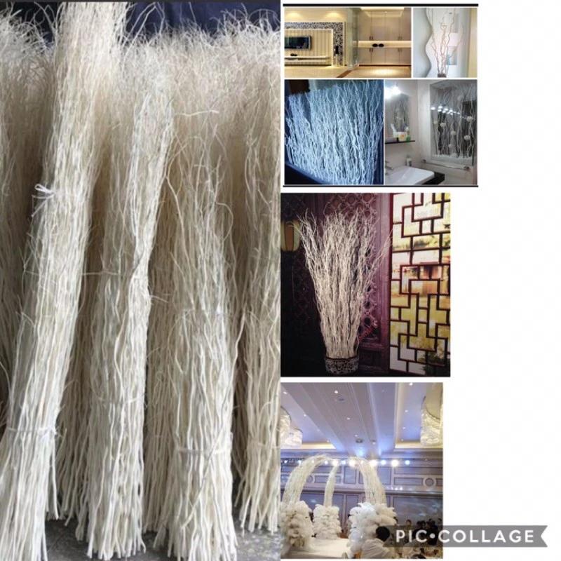 Cây khô nhánh cây khô trang trí nhánh cây trắng nhập khẩu