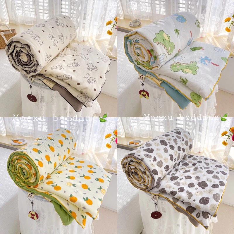 Chăn cotton đũi hàn quốc kích thước 2mx2m3 nhập khẩu , Mền hè đũi cotton chất liệu mềm mại thoáng mát mẫu mới