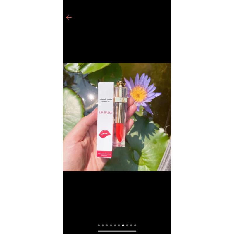 Combo sỉ 10 Son Dưỡng Môi Collagen Dạng Thỏi Kích Màu Phun Xăm