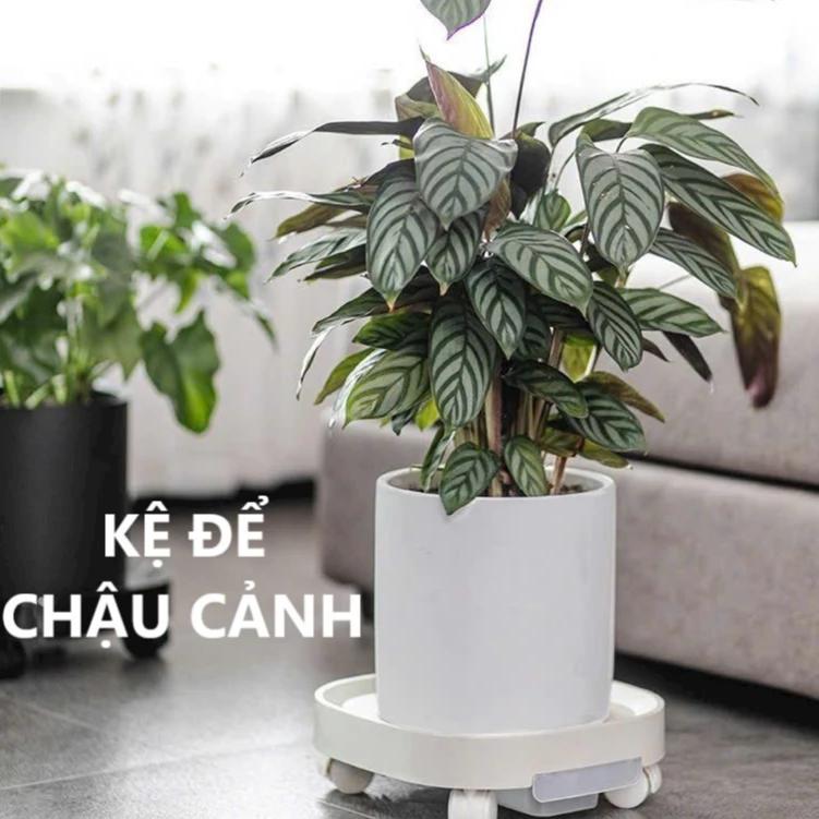 Đế lót chậu hoa cây cảnh có bánh xe thông minh - kệ để chậu cảnh