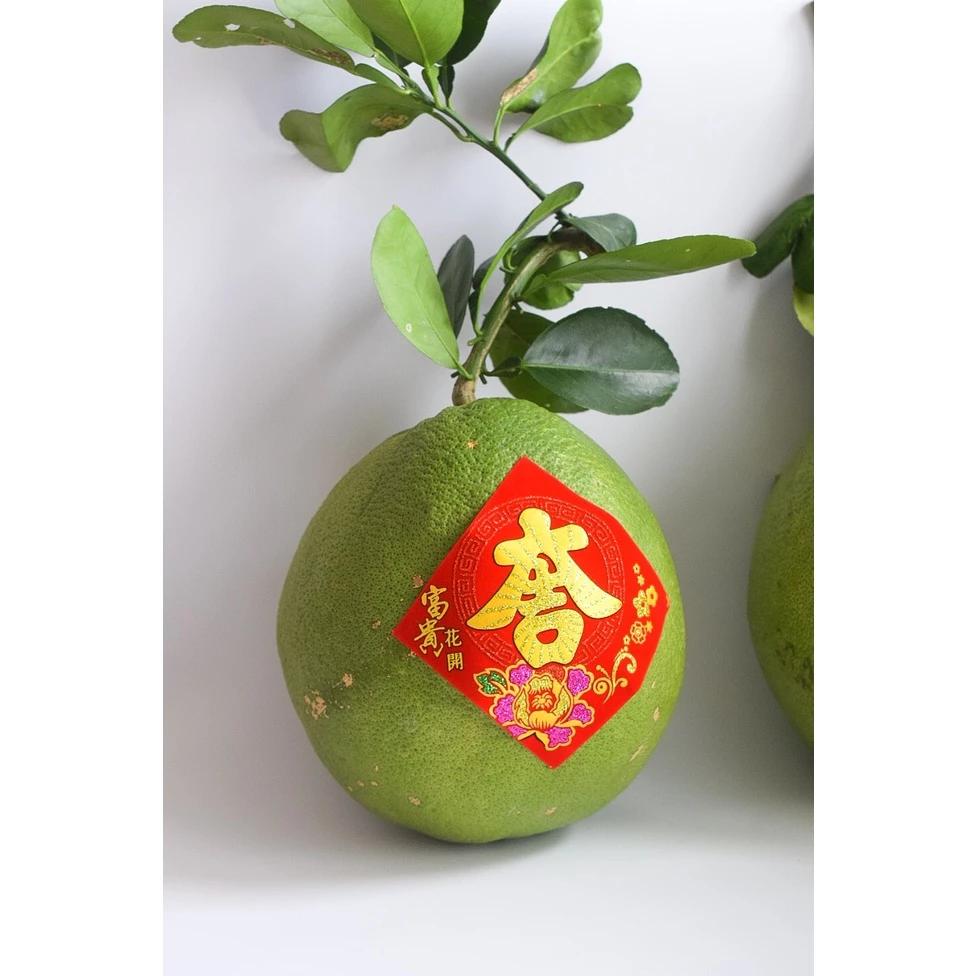 Liễn nhung đỏ dán bưởi, trái cây, dưa hấu quà tặng tết, có sẵn keo dán trang trí tết thêm sang trọng Pinky Shop mã LNĐ1
