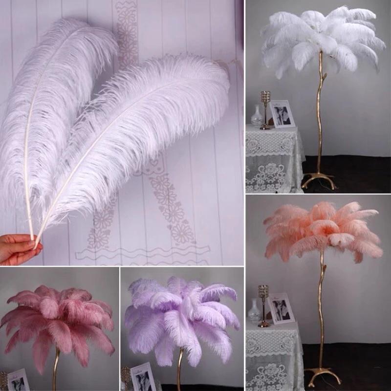 Lông vũ, Lông đà điểu trang trí 25 - 50cm nhiều màu