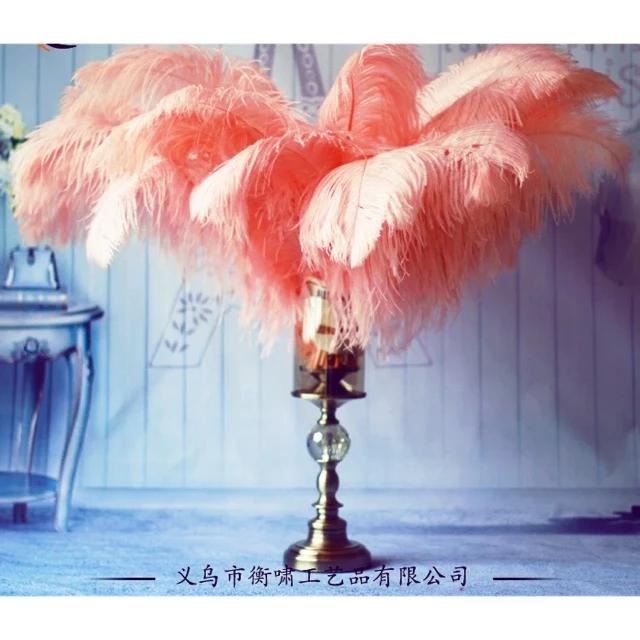 Lông vũ màu độc order 10-15 ngày