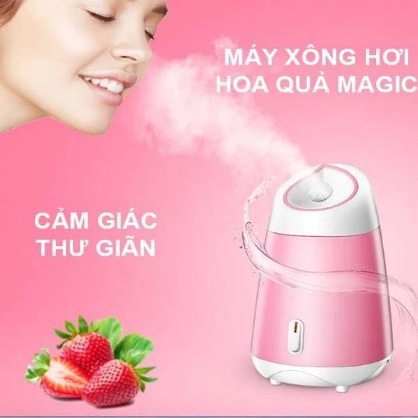 Máy xông hơi mặt bằng hoa quả cầm tay tiện dụng yueslila