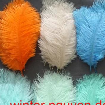(Nhiều Size/Màu)Lông vũ Siêu Mềm Mượt trang trí chụp ảnh nail, phụ kiện