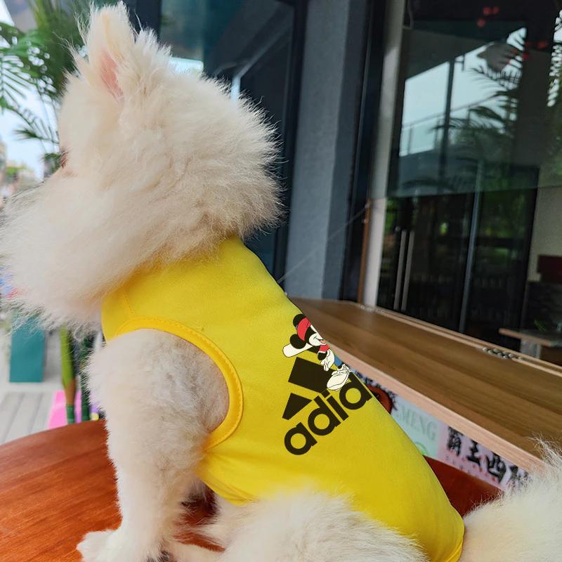 Thú cưng Xuân Hè Áo Vest Thoáng Khí In Hình Thời Trang Áo Vest Không Tay Cho Mèo Và Chó